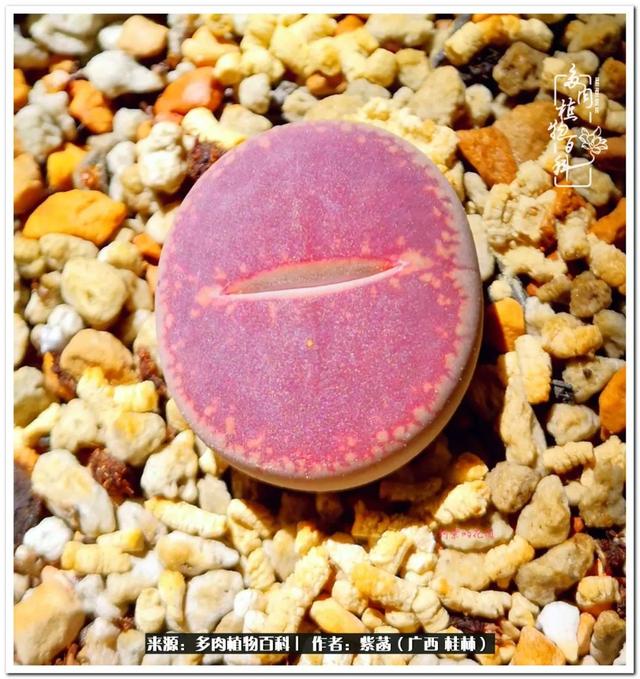 桂林滚筒式洗砂机厂家
