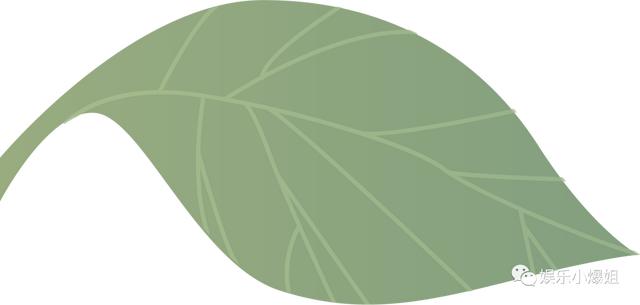 贾玲2022年体重(贾玲2022年多少斤)