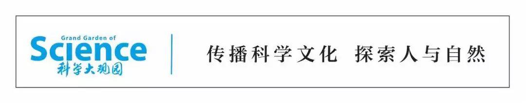 “基因编辑婴儿”案贺建奎已出狱