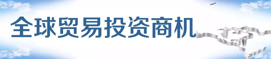 2017年瑞安机械展