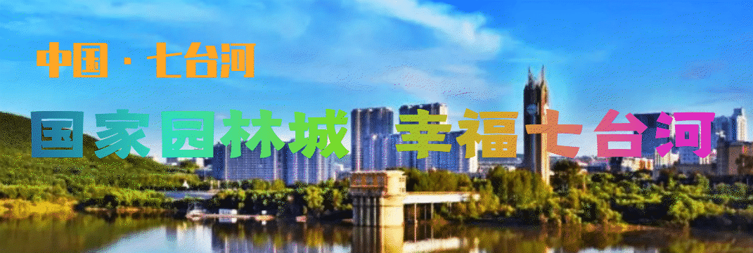 七台河市4月8日区域核酸检测结果通告（第七十三号）