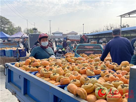 河北满城区：直播带货“靓”山村“柿柿”如意庆丰年