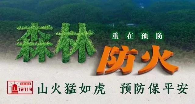 毕节大型双轮洗砂机厂家