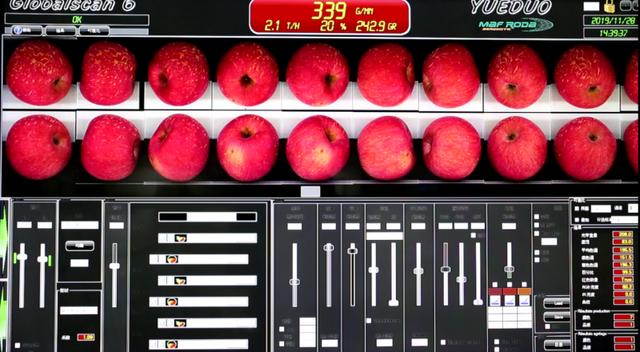 拼多多一店铺与迪士尼推出联名款苹果，出厂前每颗苹果要拍32张照片