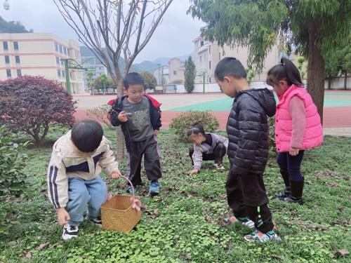 东阳市三单乡中心幼儿园：拾一路美好