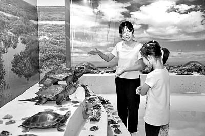 展陈工程包括哪些