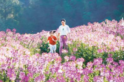 深圳机械展福道