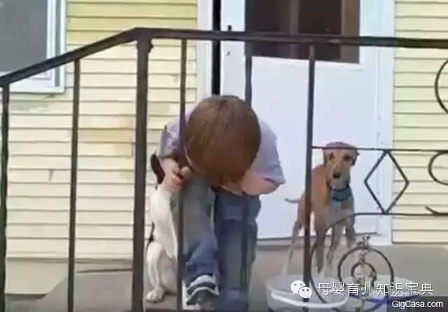 熊孩子的头，无所不卡