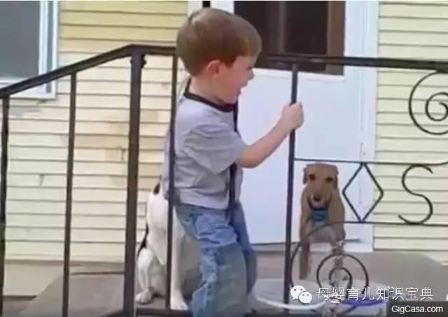 熊孩子的头，无所不卡