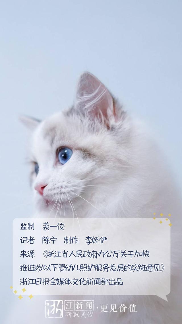 谁还不是个“宝宝”？0-3岁婴幼儿照护 浙江准备这样做