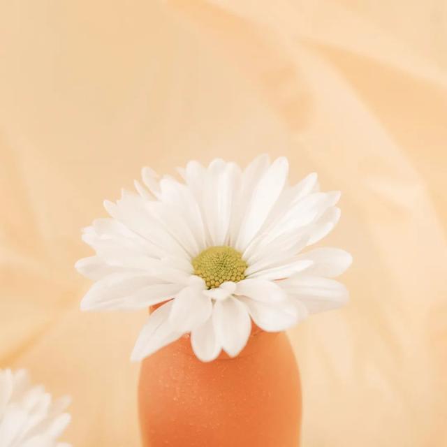 2岁幼童玩耍时平地上摔一跤就全身瘫痪了！病因却是这样的……