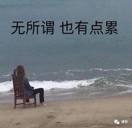 正直爱洁蟹