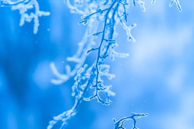 立冬降温，暖身我们有这几款冬季温补汤推荐