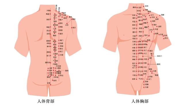 立冬降温，暖身我们有这几款冬季温补汤推荐