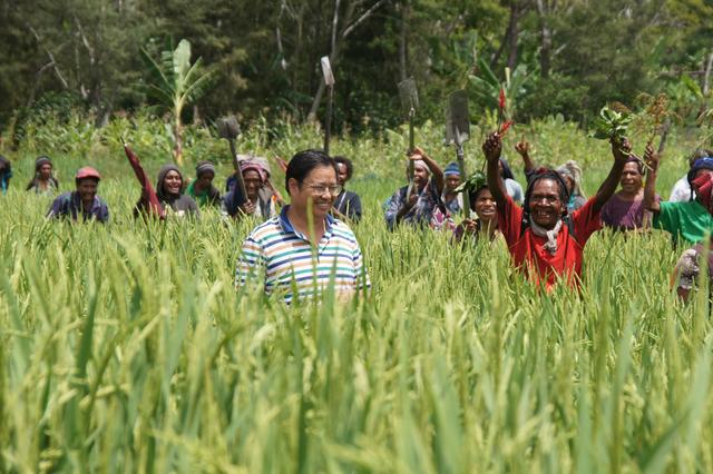 深圳机械展参展名录excel