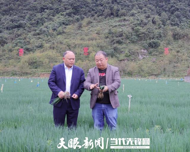 不辱金融使命 情系黔贵热土——贵州银行抢占数字经济新机 服务全省社会经济高质量发展