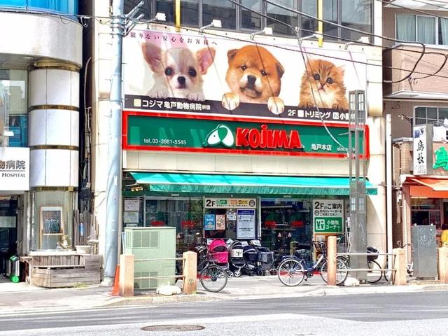 宠物店