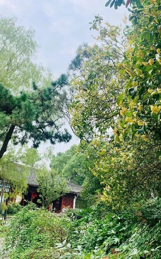 江门市广东山石制砂机器现场