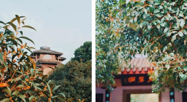 江门市广东山石制砂机器现场