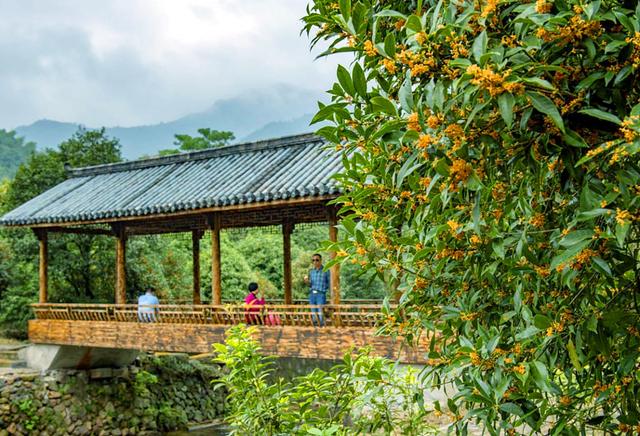 江门市广东山石制砂机器现场