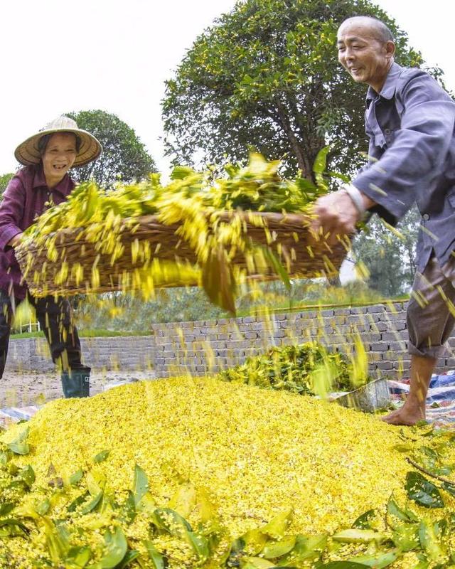 江门市广东山石制砂机器现场