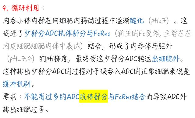 一文了解｜ADC在抗腫瘤中發揮細胞毒作用的機制