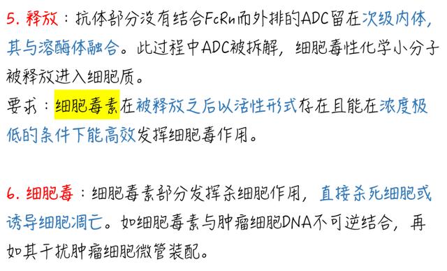一文了解｜ADC在抗腫瘤中發揮細胞毒作用的機制