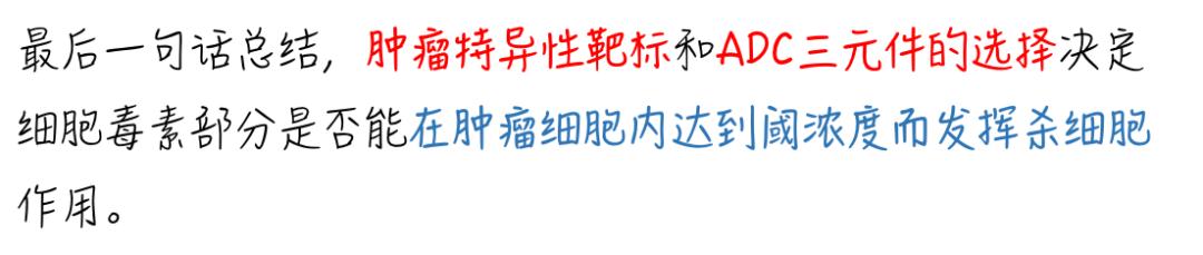 一文了解｜ADC在抗腫瘤中發揮細胞毒作用的機制