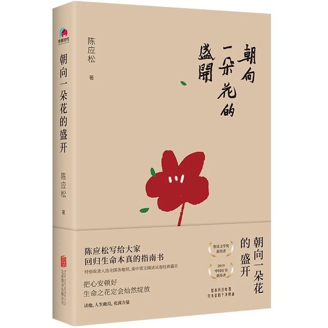 这些句子让人一眼难忘，温柔惊艳，送给慌张焦灼的你