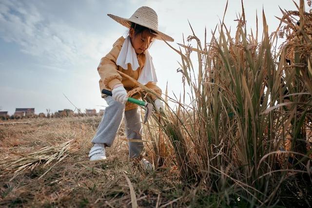 稻花香里说丰年~与孩子亲近自然的“神奇密码”都在“柘”里
