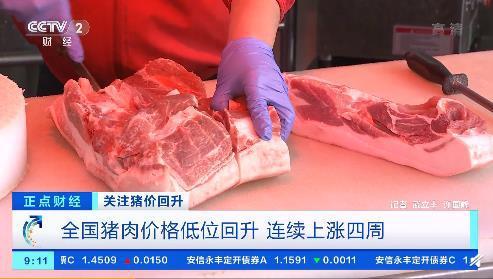 猪肉价格连涨4周！涨价近30%，低位回升、终端需求拉动