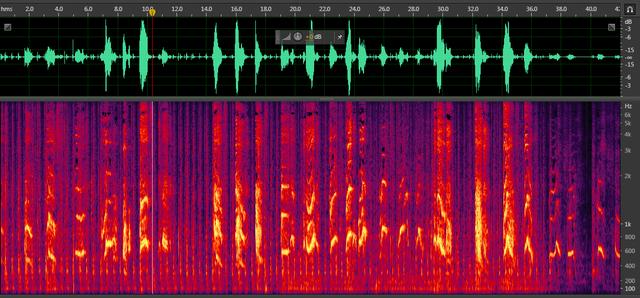 我在互联网大厂当鉴黄师：不看黄图敲代码，同事全都是博士