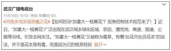 杭州轮斗洗砂机品质优良