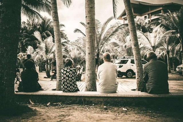 东北候鸟，海南过冬