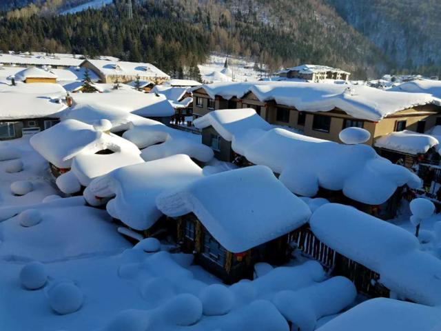 东北候鸟，海南过冬