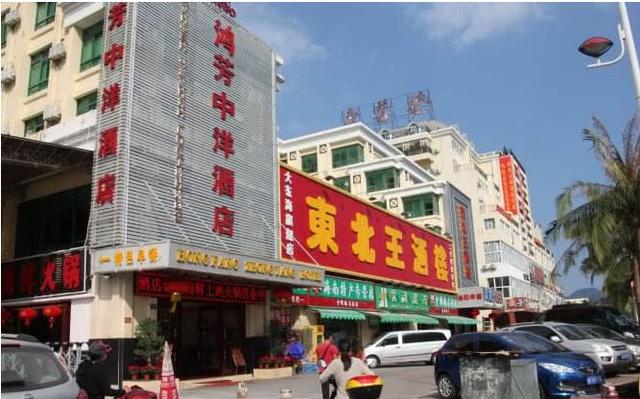 东北候鸟，海南过冬