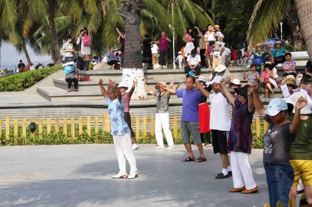 东北候鸟，海南过冬