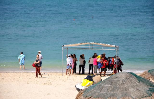 东北候鸟，海南过冬