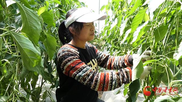 平凉石料制砂机价格咨询