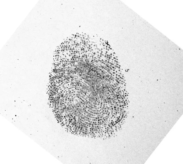 提取指纹并不难：新安全实验表明只需少量成本就能解锁你的手机