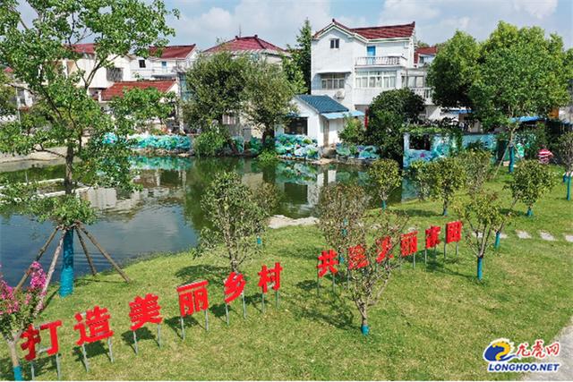 南京高淳固城街道 聚力乡村发展为乡村振兴注入新活力 Zh中文网