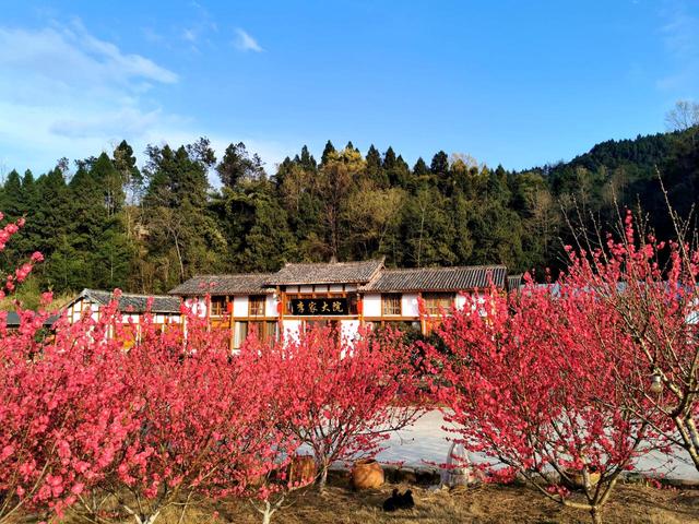 巴中印染污水压滤机如何