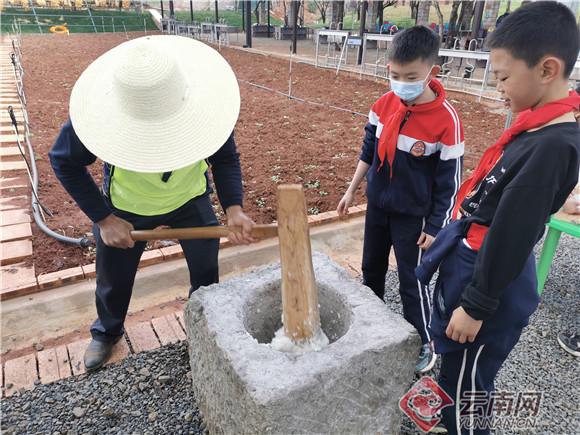 抓泥鳅客家话  抓泥鳅