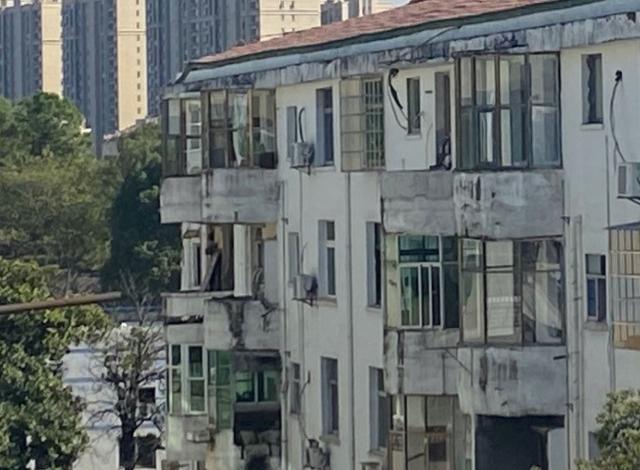 福州定制水洗轮洗砂机
