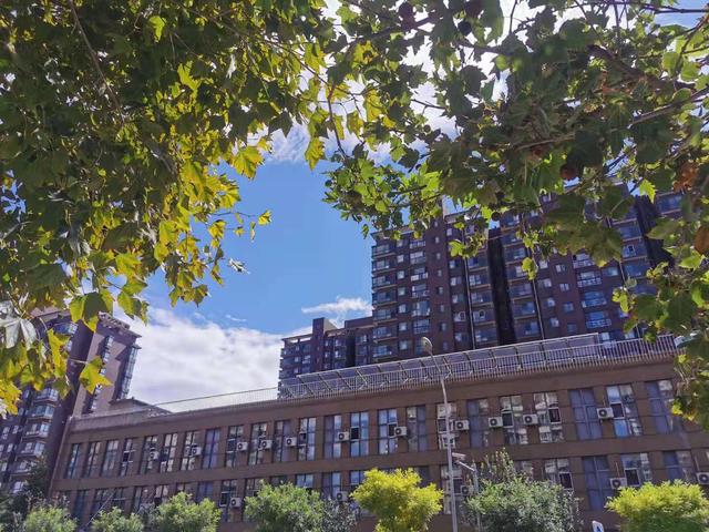 “奥体房姐”被抓：别将人生赌注押在一套房上面