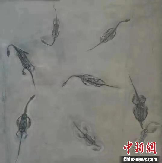 汉中小型矿石制砂机视频