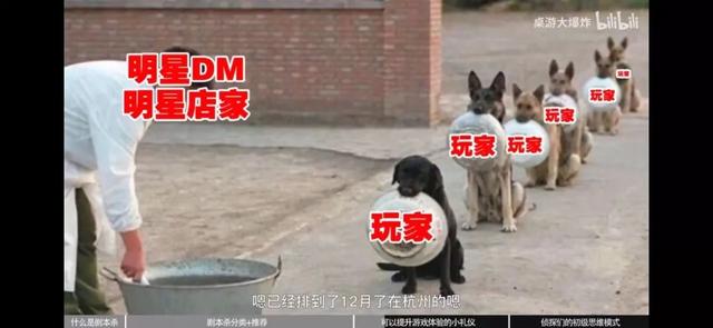 剧本杀dm