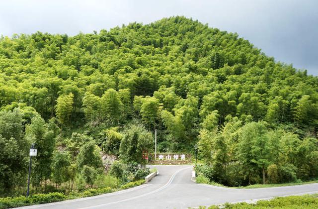 世界最佳旅行鄉村，這項全球性榮譽爲何花落余村？