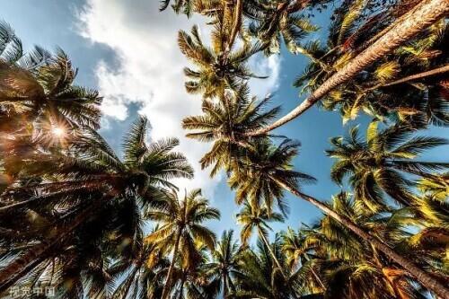 最近，这个小镇吸引了上千位企业家，为啥？