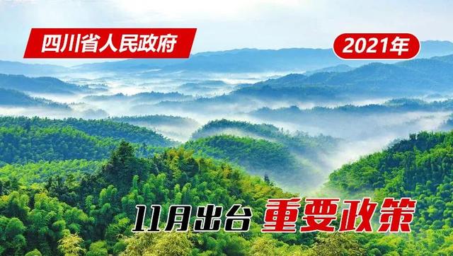 11月，四川省政府出台了这些重要政策